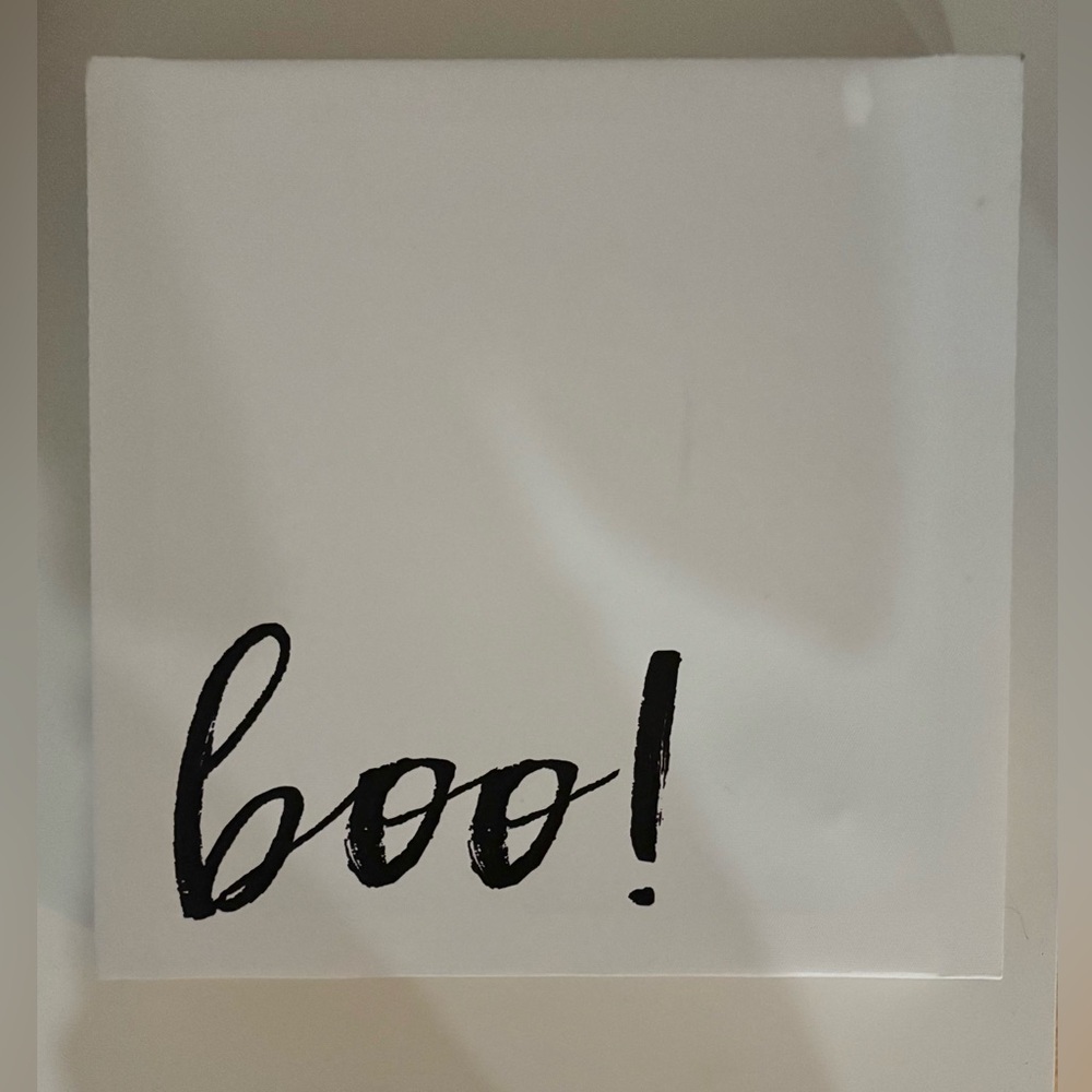 White Canvas with Black 'Boo!' Text
